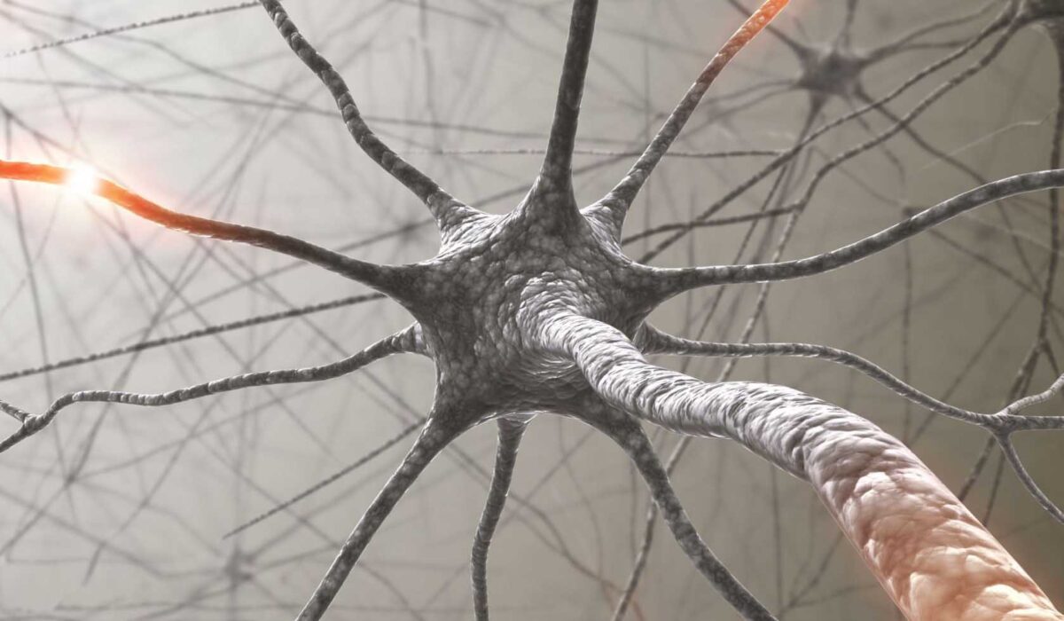 neurología santander