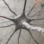 neurología santander